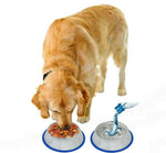Etched Stainless Steel Dog Bowls with Blue Silicone Base