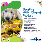 Honeycomb eBowl Deep Slow Feeder Dog Bowl for Enrichment