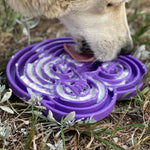 Water Frog eTray - Shallow Slow Feeder Dog Bowl for Enrichment
