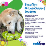 Water Frog eTray - Shallow Slow Feeder Dog Bowl for Enrichment