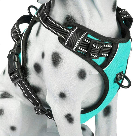No Pull Dog Harness - Reflective and Comfortable Vest with Dual Leash Attachments and Easy Control Handle for Small to Large Dogs (Mint Blue, Medium)