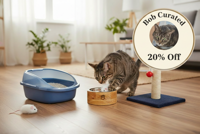 Cat Starter Bundles
